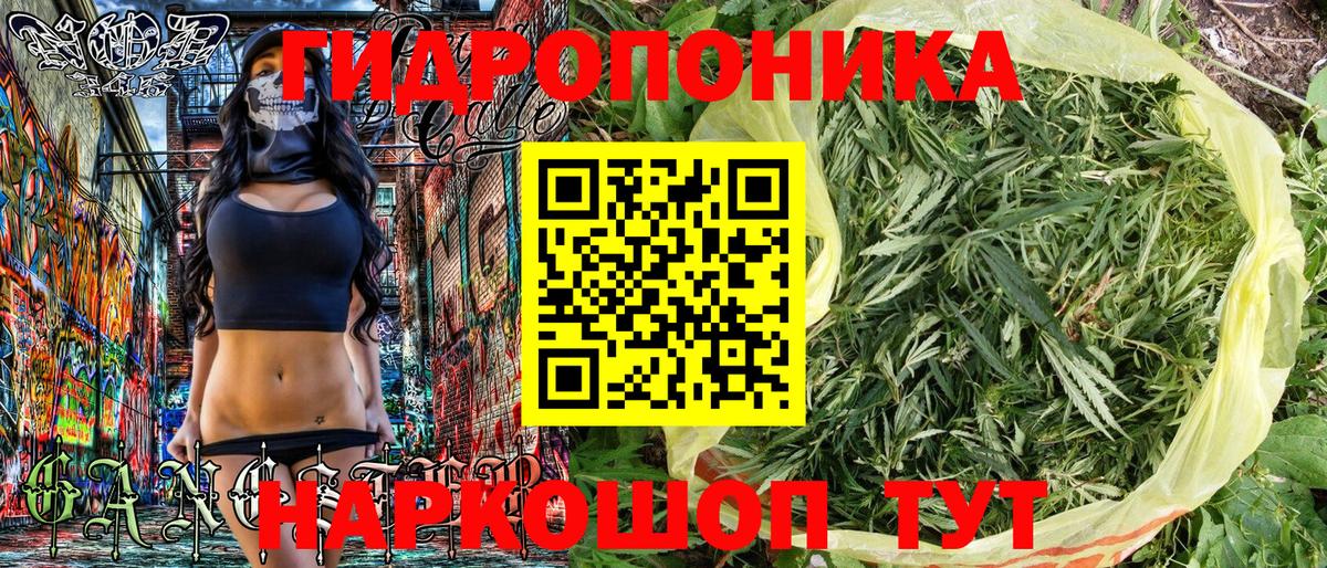 Бошки марихуана OG Kush Зерноград